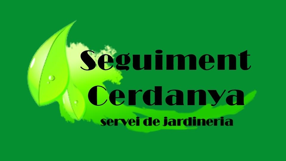 Seguiment Cerdanya logo